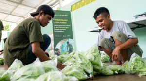 Petani Disabilitas di Bulukumba Raup Puluhan Juta Rupiah dari Selada Hidroponik Berkat Program PELITA
